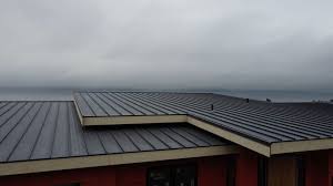 Best Green or Eco-Friendly Roofing Solutions  in Norwalk, OH